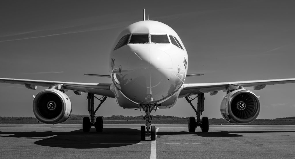 pexels joerg mangelsen 337913024 30358365