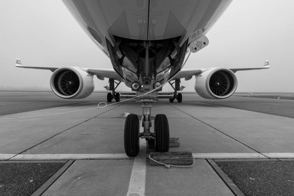 pexels joerg mangelsen 337913024 31748571